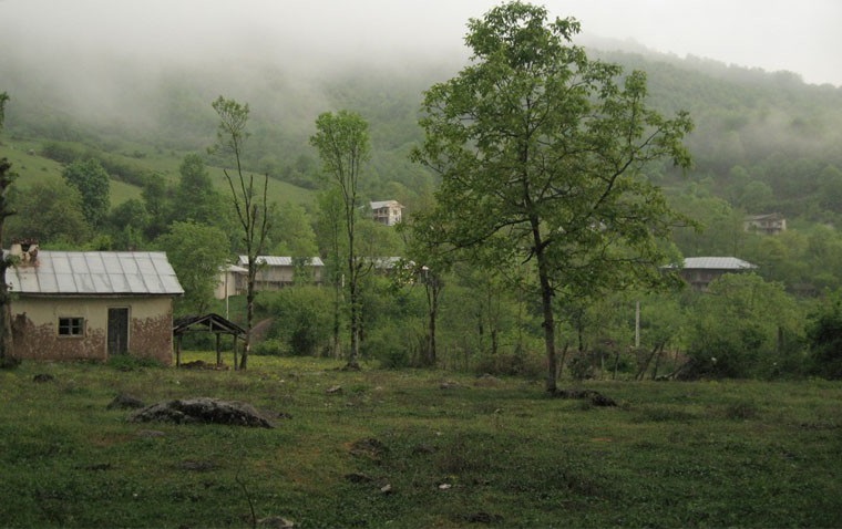 2611 روستای چلی علیا